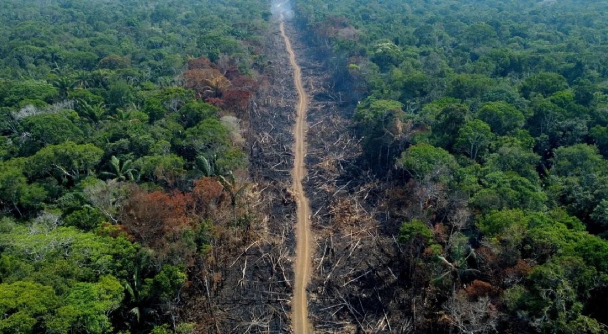 Brazil Commits to Tripling Amazon Forest Monitoring Budget - Mizoram Today